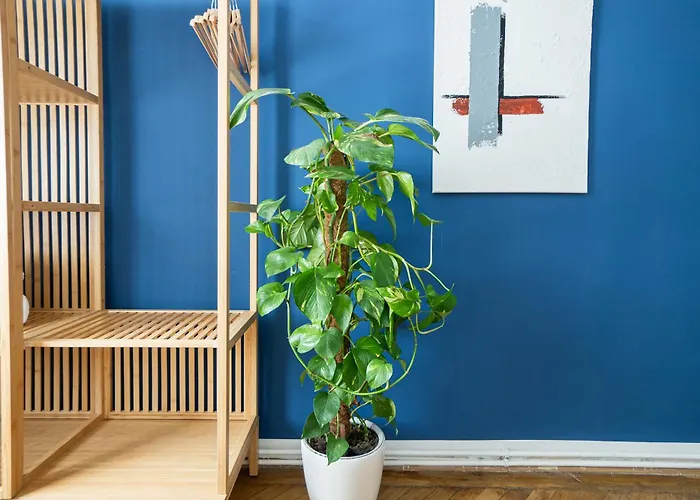 Apartmán Pet-friendly Modern Near Belvedere *